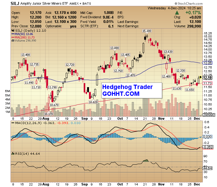 Silver Miners $SILJ Turning up as forecast in our HHT Newsletter Alert ... See what else we're predicting in this and other sectors!  Join us now and build real wealth:  GOHHT.COM/products.php 📈📈📈