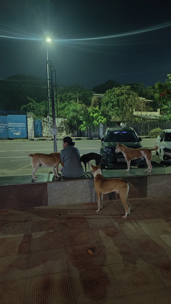muthu_tara's tweet photo. And then there was one
#taraclicks #love #dogsofchennai #beachbabies https://t.co/19pV2Z8R5d