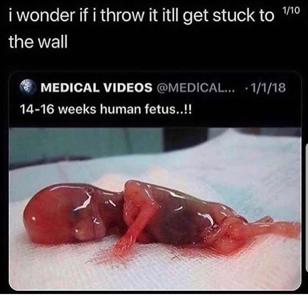 David Scowen tweet media