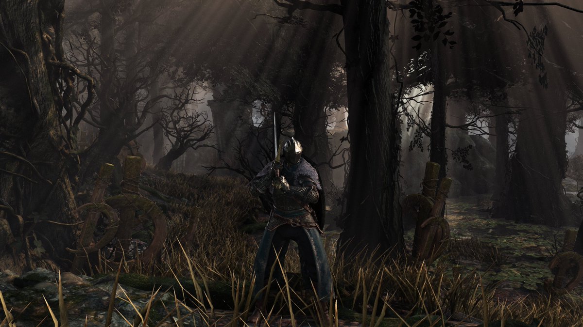 Grass spam in the woods in #darksouls3 . It uses all the features built in DS3LE so far. Including Mesh injection.
Check out the HD Video link below. This scene is a stable 60FPS.