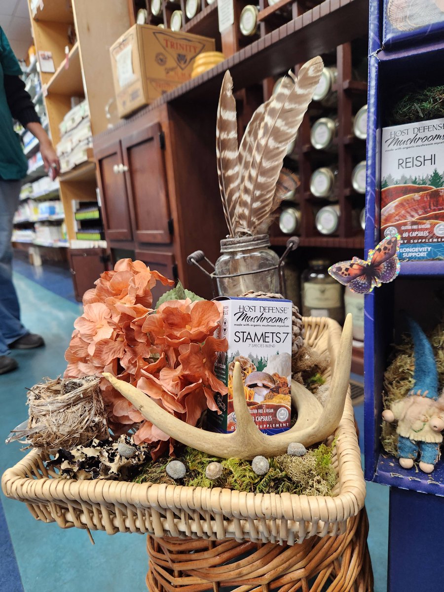 Have you seen the makeover our Host Defense display got? If you haven't seen it, you have to check it out while you're in the store! Can you spot the bird's nest?