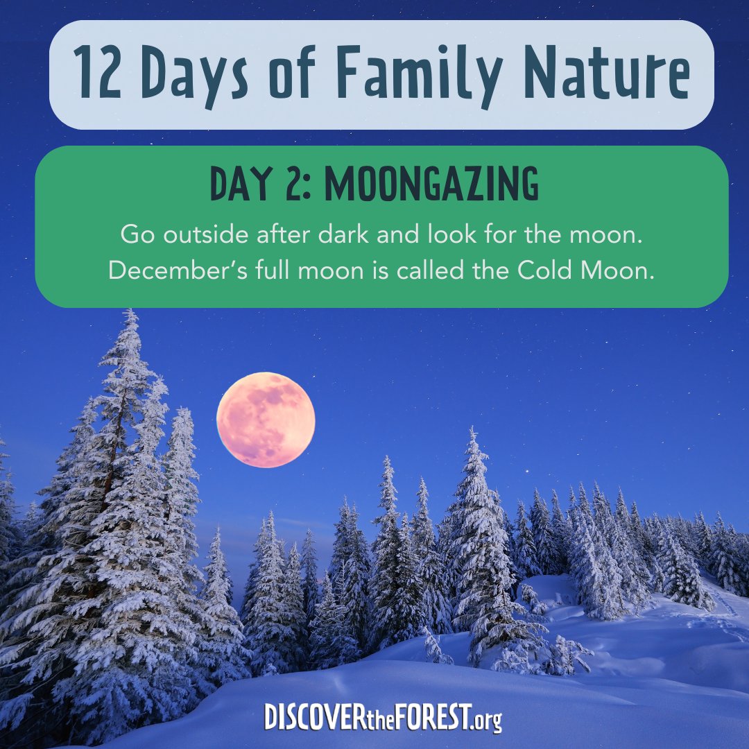 Join us for 12 Days of Family Nature and let’s make this holiday season one to remember, filled with outdoor adventures and family fun!