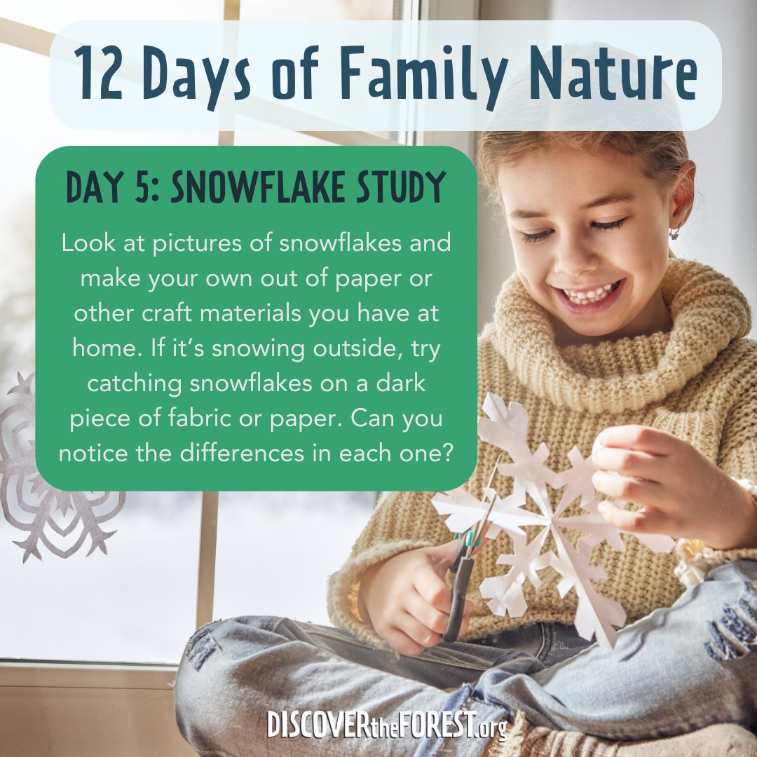 Join us for 12 Days of Family Nature and let’s make this holiday season one to remember, filled with outdoor adventures and family fun!