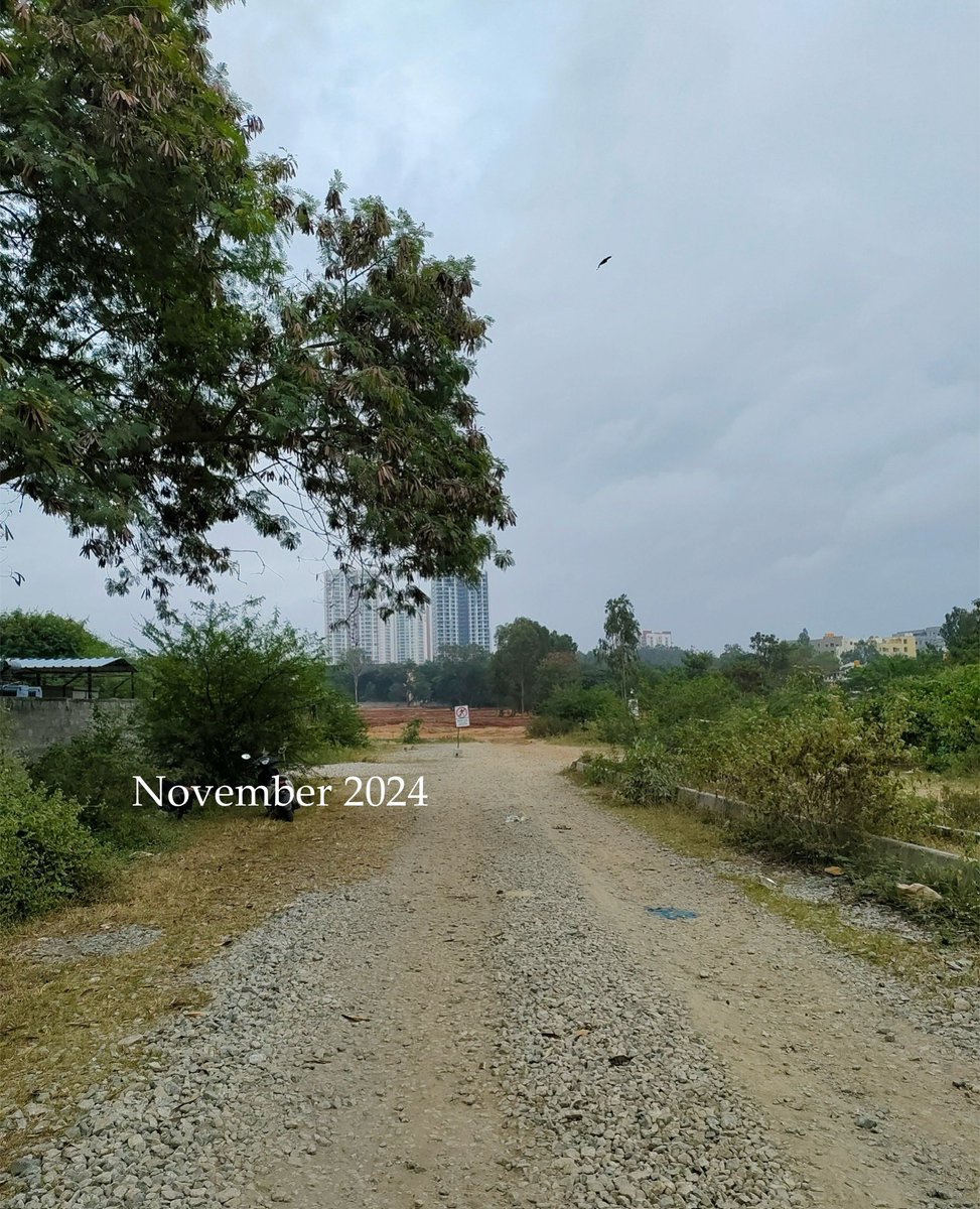 ‘DONT COME HERE AGAIN’

> I was sternly warned by security guards to stay away when I tried to visit the lake 2 days ago (used to walk freely, pics 1&amp;2 from 2022 and 2023). 

>Hundreds of trucks are dumping mud, causing the lake to nearly vanish (pic 4). Security guards at two
