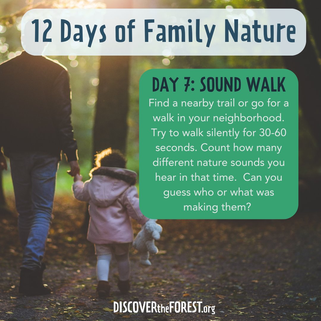 Join us for 12 Days of Family Nature and let’s make this holiday season one to remember, filled with outdoor adventures and family fun!