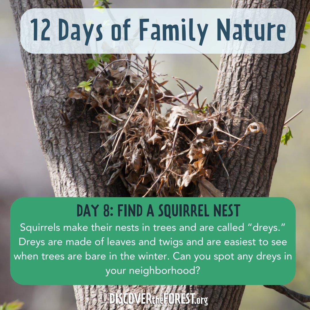 Join us for 12 Days of Family Nature and let’s make this holiday season one to remember, filled with outdoor adventures and family fun!