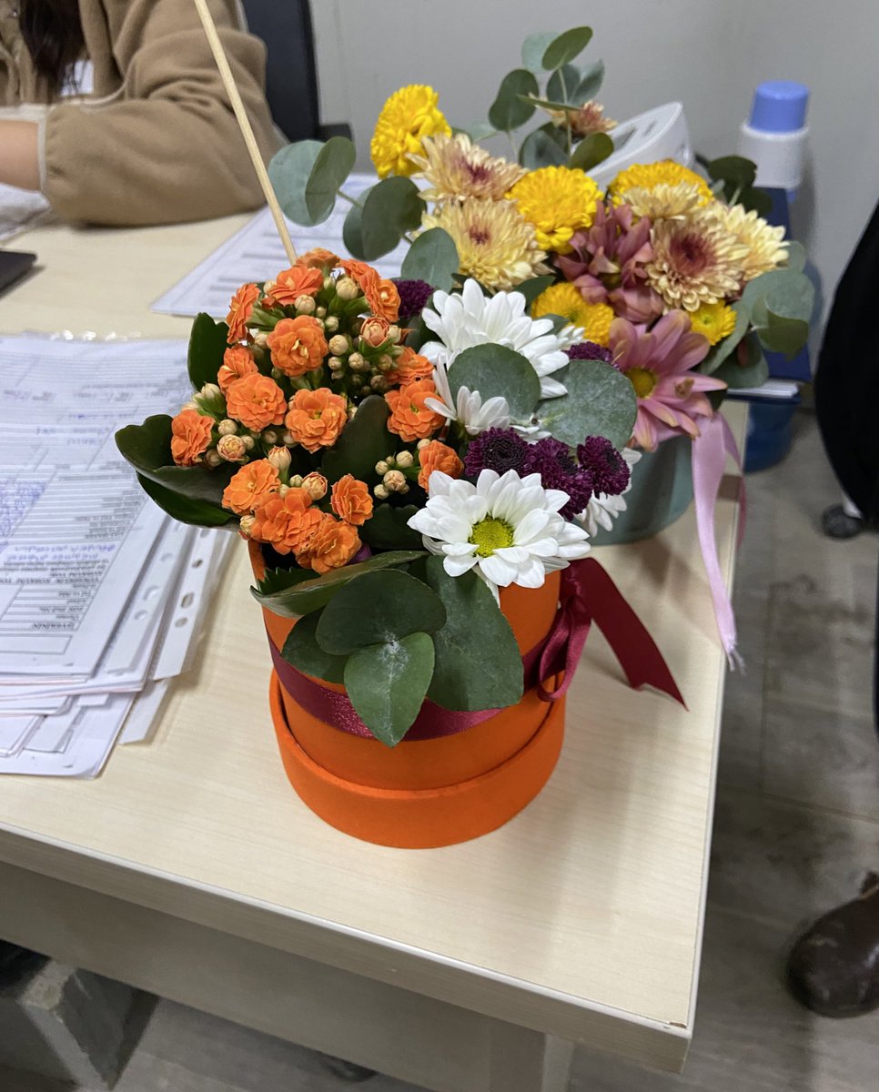 kasımpatı, şakayık manifestini yanlıs yapınca kızlar