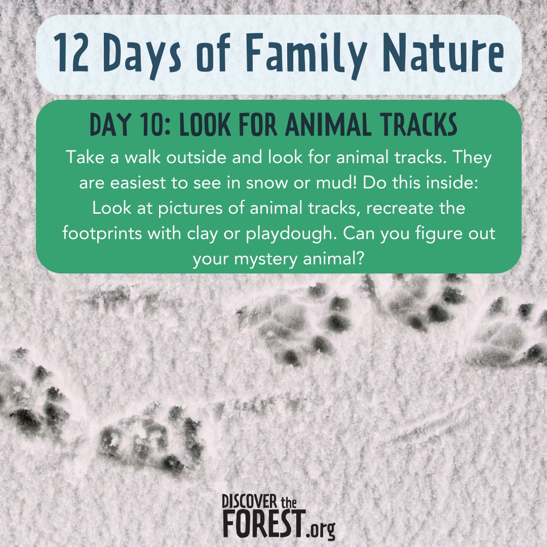Join us for 12 Days of Family Nature and let’s make this holiday season one to remember, filled with outdoor adventures and family fun!