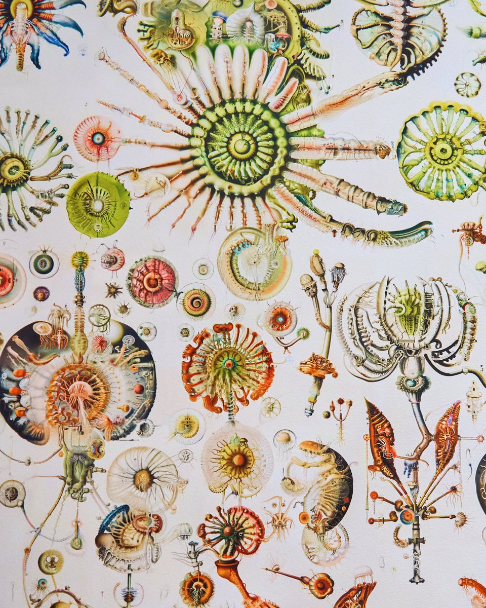 TASCHEN's tweet image. ‘On NFTs. Art Edition No. 1-100, Sofia Crespo ‘{{floral automata_1236}}’
Known for blending nature and technology, @soficrespo91 reimagines the natural world through machine learning and #AI.
The piece, {{floral automata_1236}} (2023), explores how we perceive and represent…