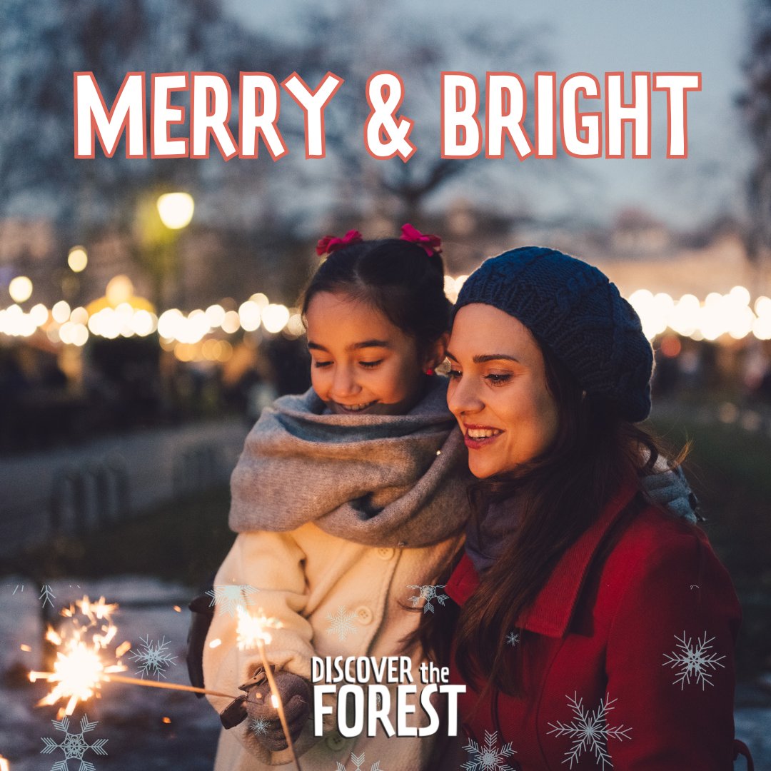 ✨ Whether you celebrate Christmas, Hanukkah,  Kwanzaa, Las Posadas, Yule, all, or none of the above, we hope the season is merry and bright! ✨