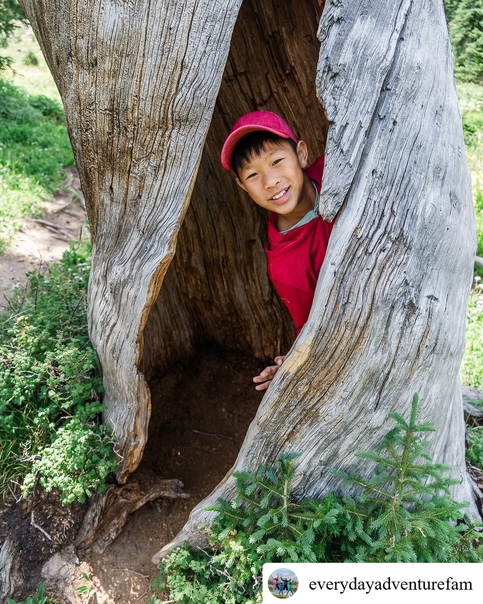 Tag #DiscoverTheForest + share how your family gets outside – we’d love to feature your moments on our page and inspire others to get outside too!

Thank you @everydayadventurefam for sharing this epic road trip stop while in Wyoming!

📍Medicine Bow National Forest