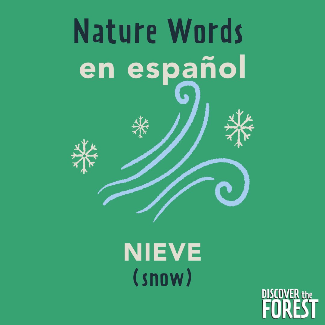 Share the wonder of the wild in two languages!

🌨️❄️ This winter, explore the magic of the forest with these nature words en español:

Invierno - Winter
Frío - Cold
Nieve - Snow

🌲✨ #DiscoverTheForest #NatureInSpanish