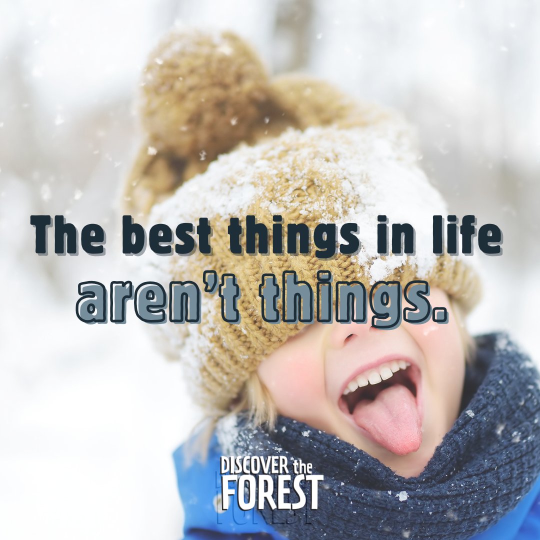 The best things in life aren't things—they’re the moments we share with the ones we love most. 💕

#discovertheforest
#familyinnature