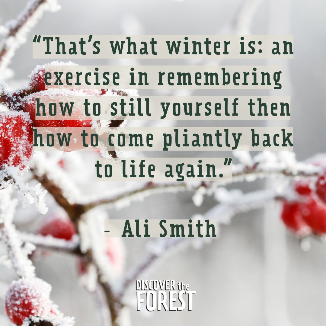 As we head into a new year, remember that nature is in no hurry, and you don’t have to be either.

Take the time to be still, as rest is essential to growth 🌱