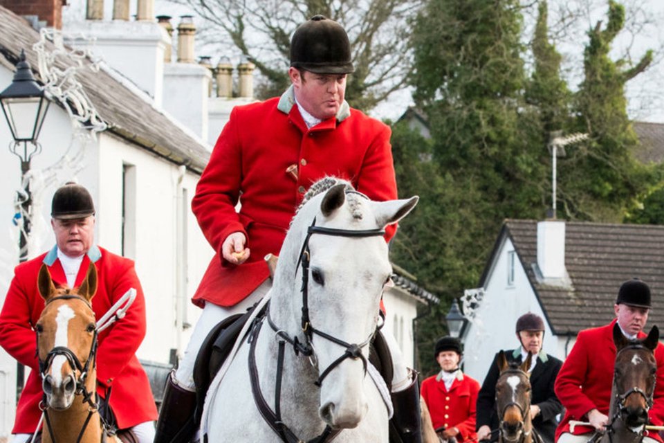 🎉 Positive news! The North Down Hunt is FINISHED! 🙌 Thanks to the relentless efforts of sabs and supporters, this bloodsport group is no more. Wildlife in this corner of the countryside can now rest easier. One down, many to go. ✊ Good riddance! 🦊

<a href="/Huntsabsni/">HuntsabsNI</a>