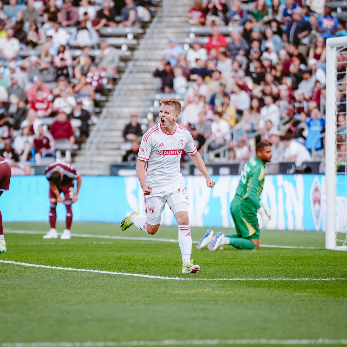 johnny klein tweet media