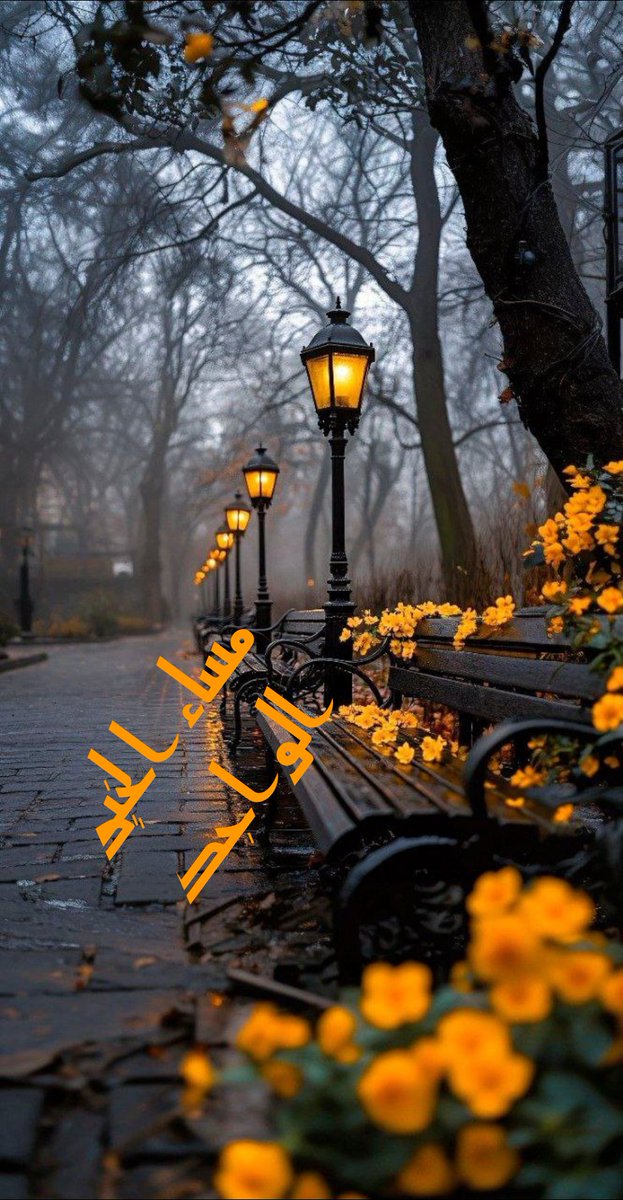 وهل يشعرون بنا من نكتب لأجلهم ام ان حروفنا اصابت قلوبٌ ليس لها ذنب