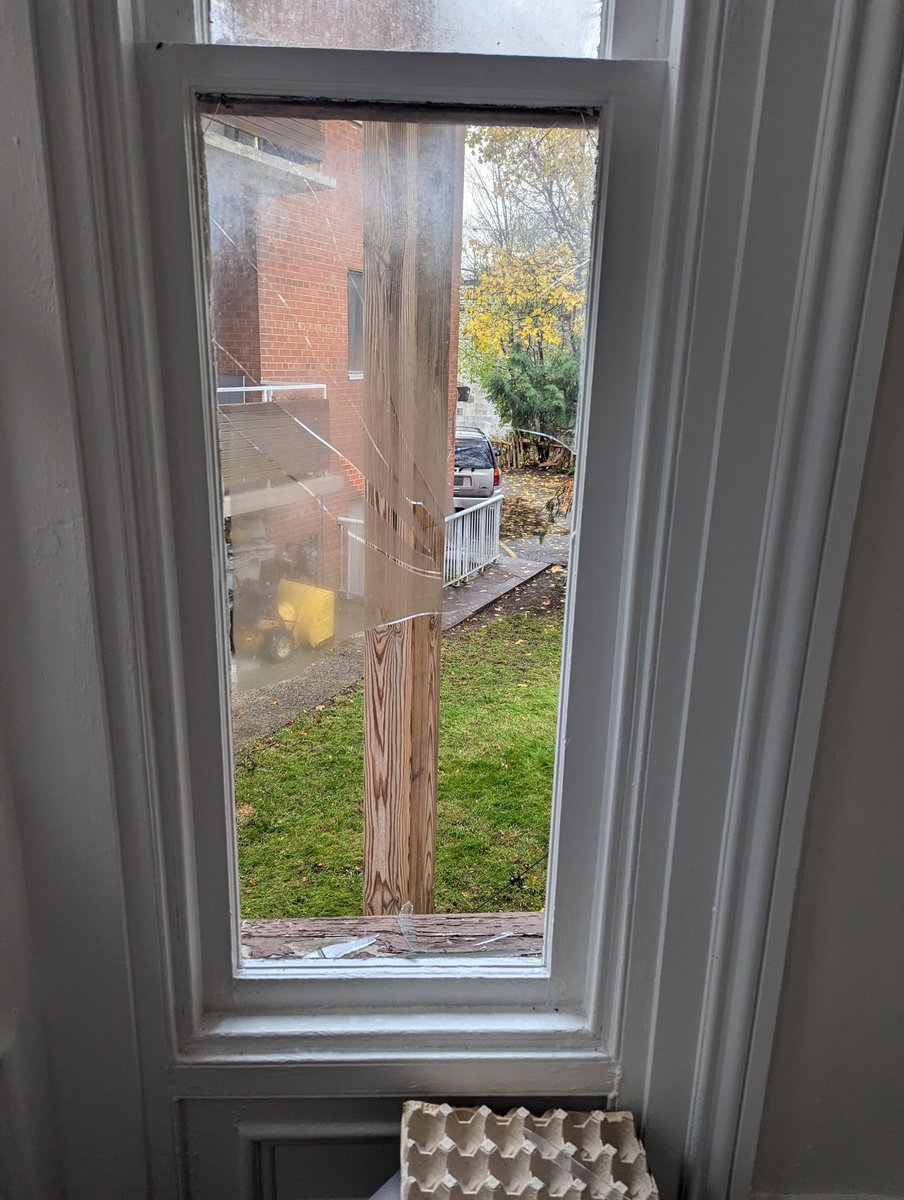 Nearly fell out the window in my sunroom this morning.
Bf: Baby, what's the one thing we always say to each other?
Me: Be safe?
Bf: Was that safe?
Me: 💀
Like I'm so sorry, mate, I am impossibly clumsy. But I am alive. Made it out with just a few cuts.