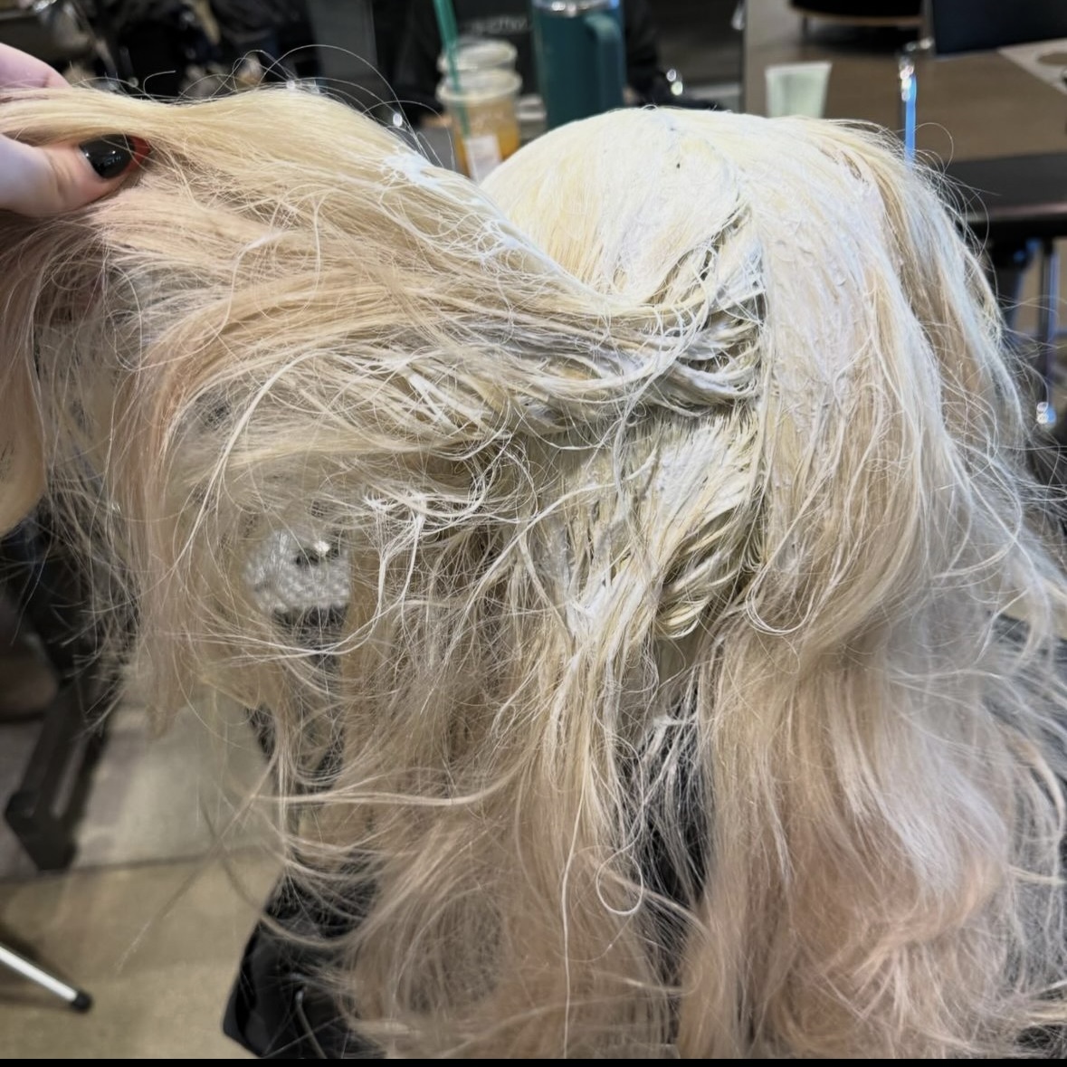 PMTSCHICAGO's tweet photo. ✨ Happy Friday, everyone! Can we take a moment to appreciate the sheer talent of @ice.colors.hair ?! Seriously, her hair skills are on another level. If you haven't checked out her page yet, you're missing out on some seriously amazing hair transformations happening right... https://t.co/5J6GU8bjUX
