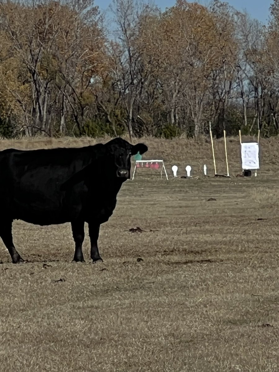 Clay Martin ⚔️ tweet media