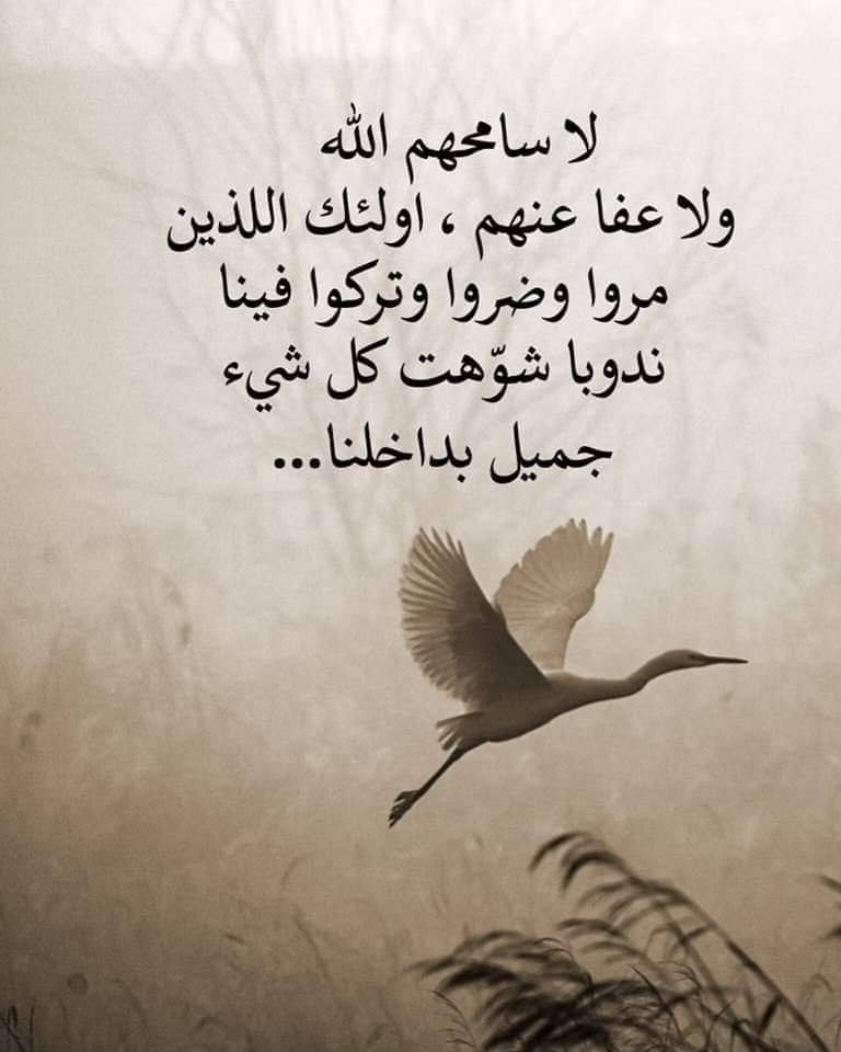 ثامر البرجس (@aaas48534) on Twitter photo 