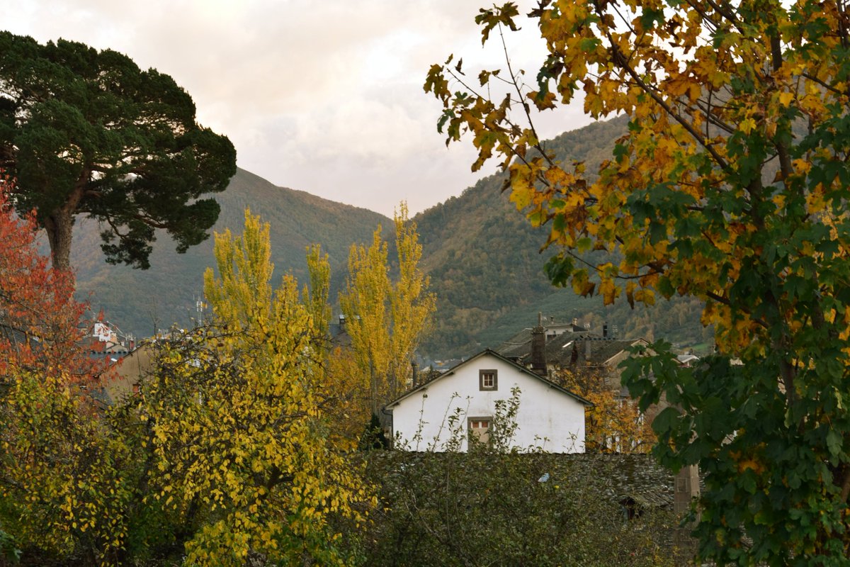 alvrocm's tweet photo. Pues voy a hacer un hilo con algunas fotos de Laciana y Babia 📸🏔🏡

📍San Miguel https://t.co/6QeeGc7PV2