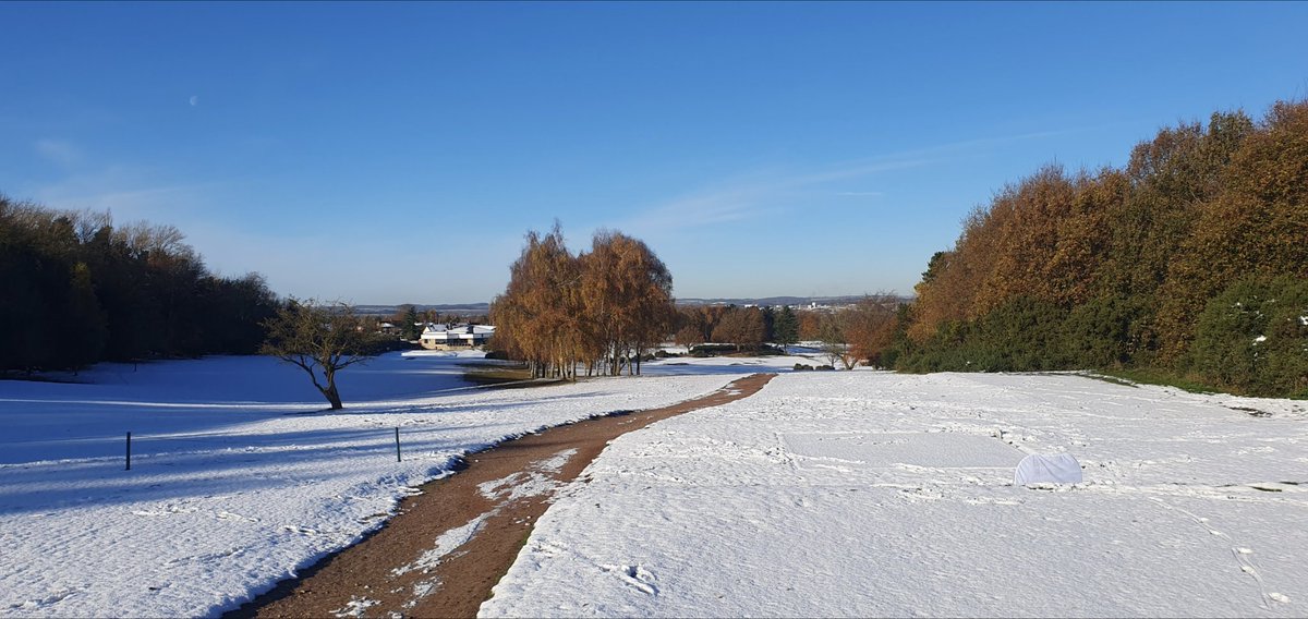 Oliver Pate tweet media