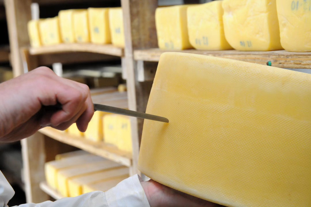 #Agenda | Cómo es la cata solidaria de la sexta edición de la Fiesta del Queso Tandilero
📌 elteclado.com.ar/nota/26628/