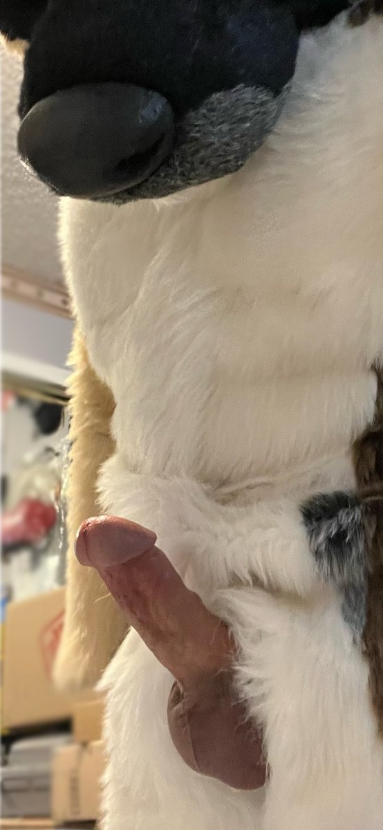 Knot too late to blow one out for me~
🎂 #murrsuit #fcf #nsfw