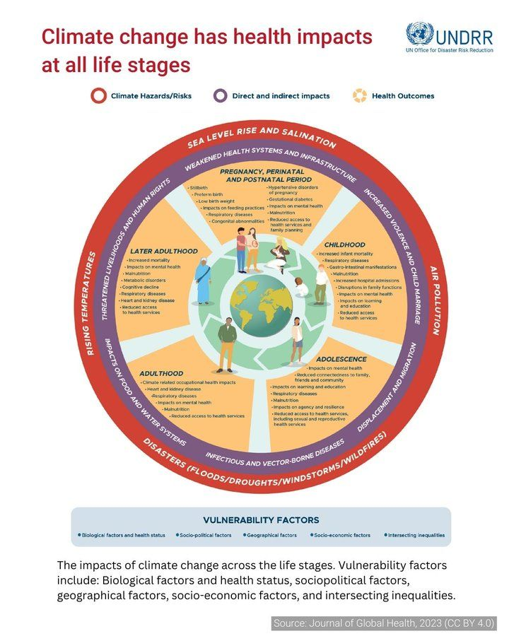 UN Biodiversity tweet media
