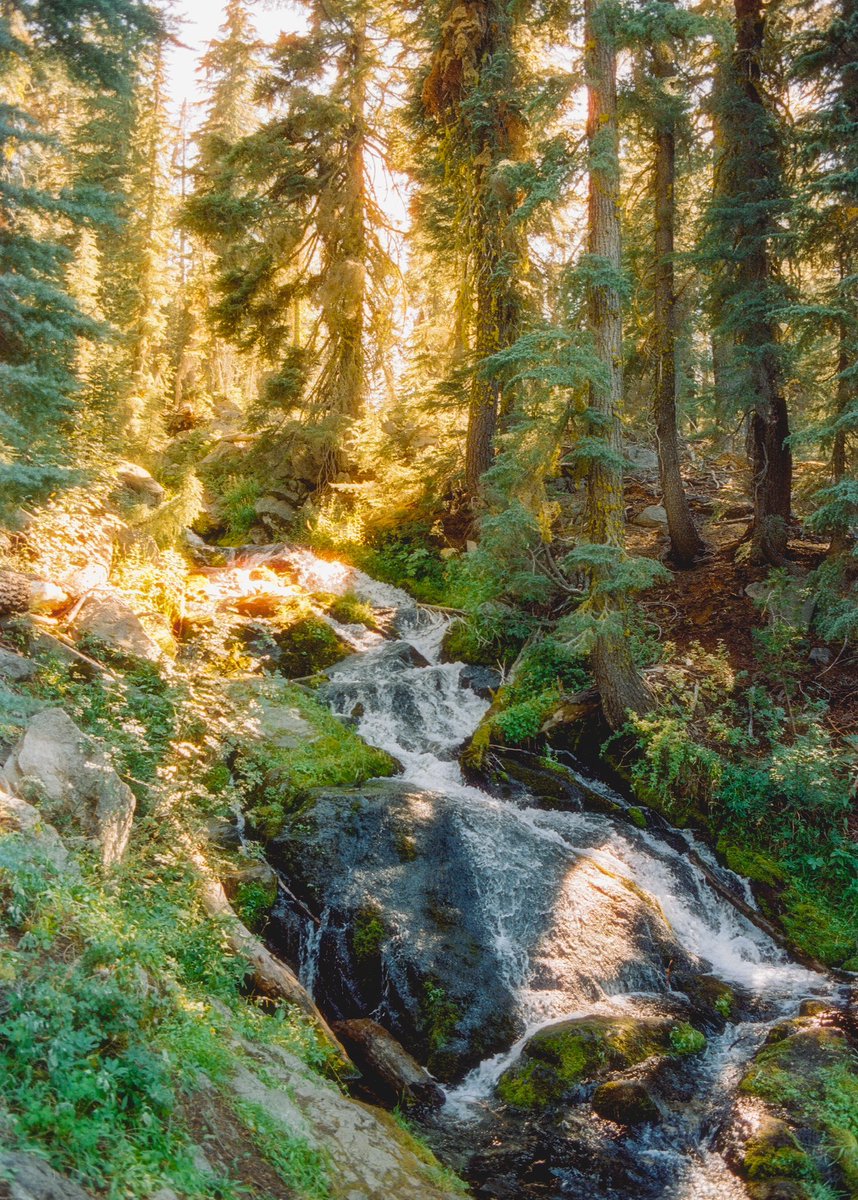 ryanadrift's tweet photo. summer on cinestill 800t🏔️🎞️ https://t.co/X4GGgUr6L9