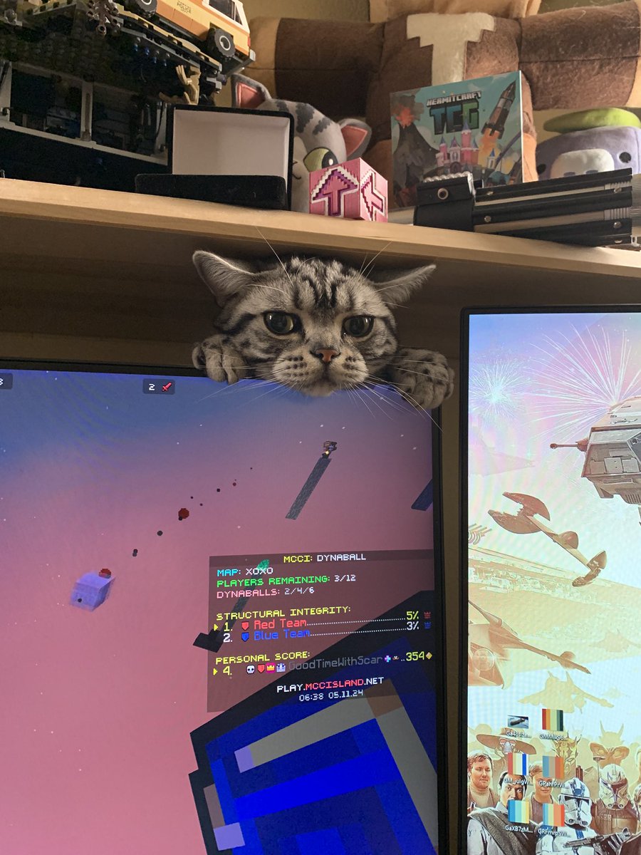 Sorry about no videos or streams. I haven’t been feeling well for awhile. Please enjoy my little buddy keeping me company.