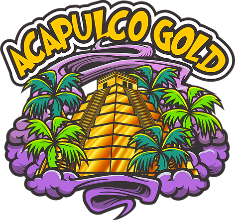 TyBudzGenetics's tweet photo. Original #AcapulcoGold seeds from the 1970's-80's available 🤘😎💨

Let me know if you have any questions!? (I also have Panama Red and Sonoma Purple seeds available) https://t.co/S4be1VXpVa