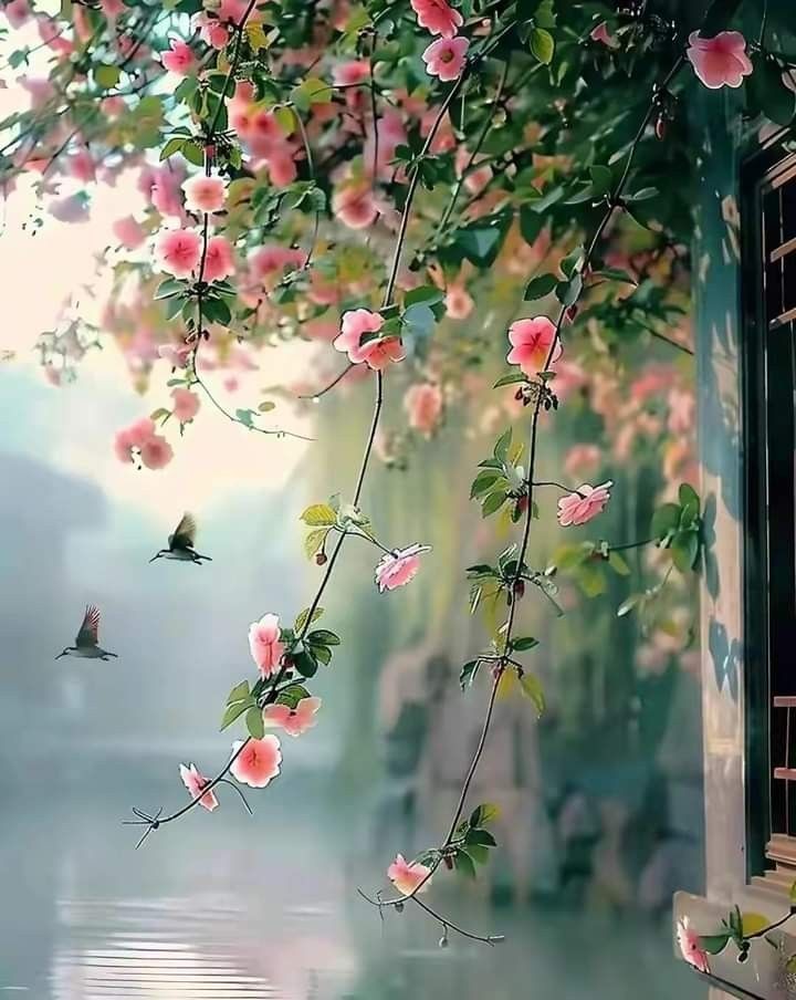 A serene morning 🌅 view from our balcony at our accommodation in Rize, Turkey. ❤️
Marva Mahdouh 📸💕 ..
Stay connected with us 🙏❤️