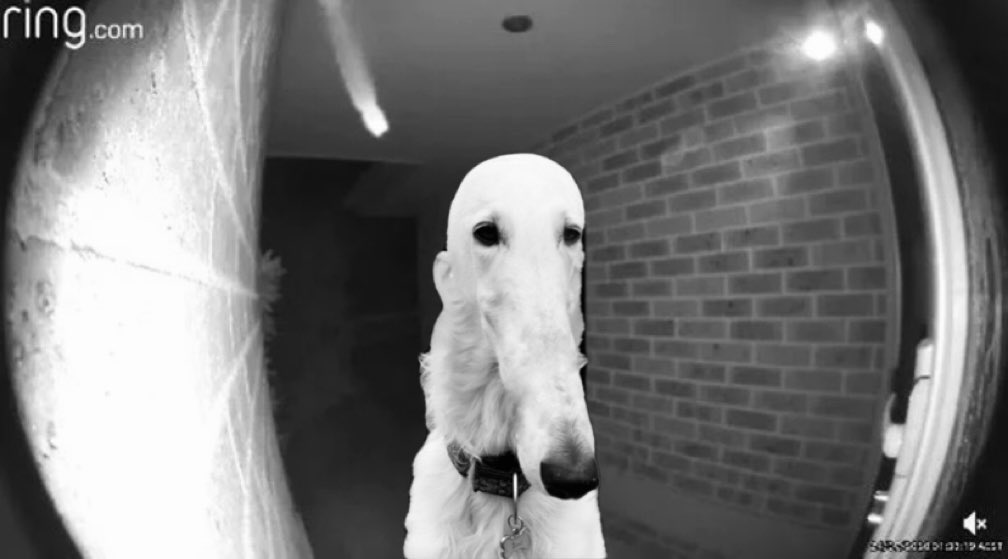 thetickerislong's tweet photo. POV: you’re shorters defending 5 figure coin

You will let the Longers in

You will LONG https://t.co/nOteXj4Qer