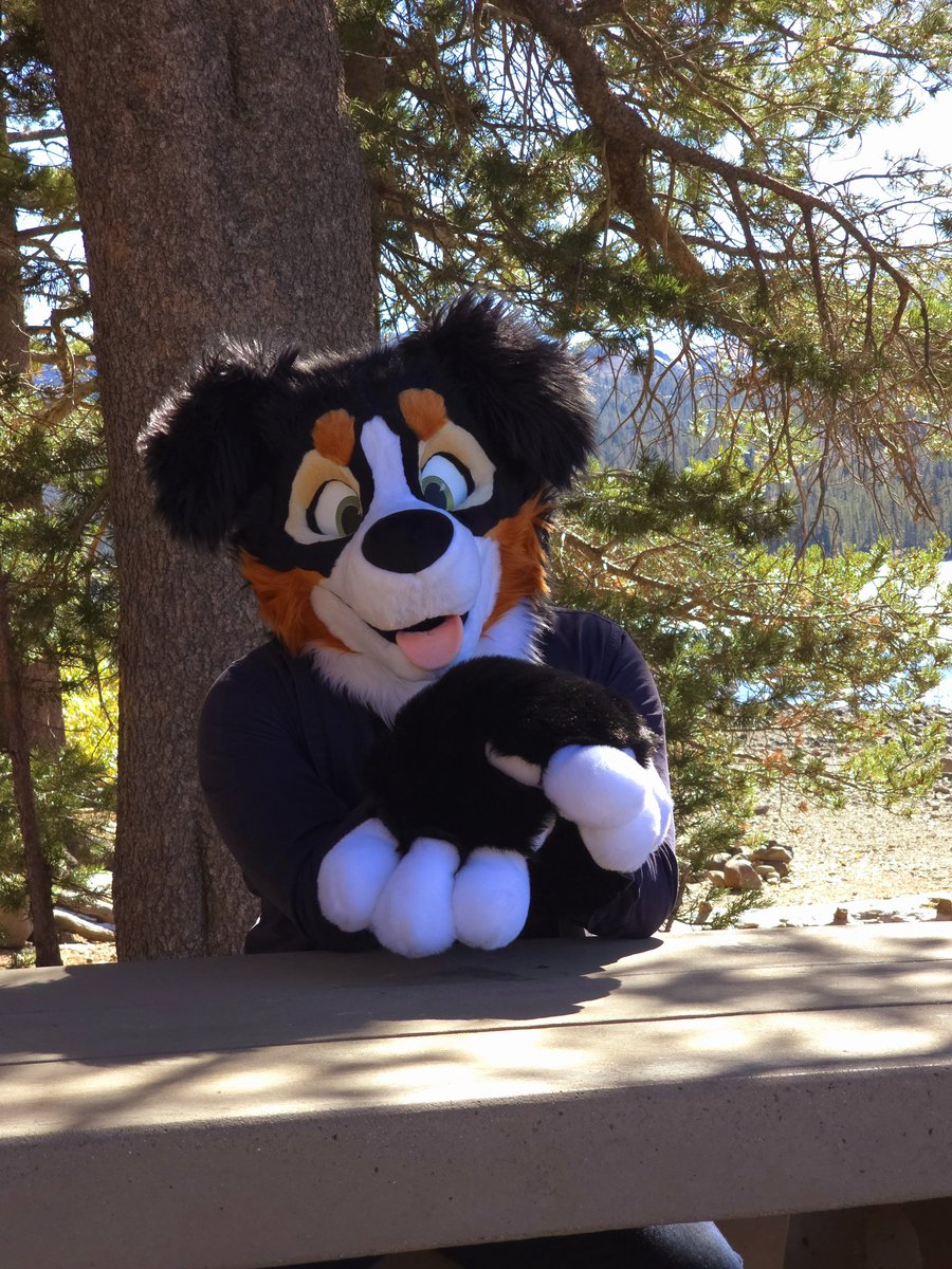Just a dog waiting patiently for you to join him for lunch after a nice hike to the lake.
#FursuitFriday 
Suit by:<a href="/StarsentMage/">Starsent</a>