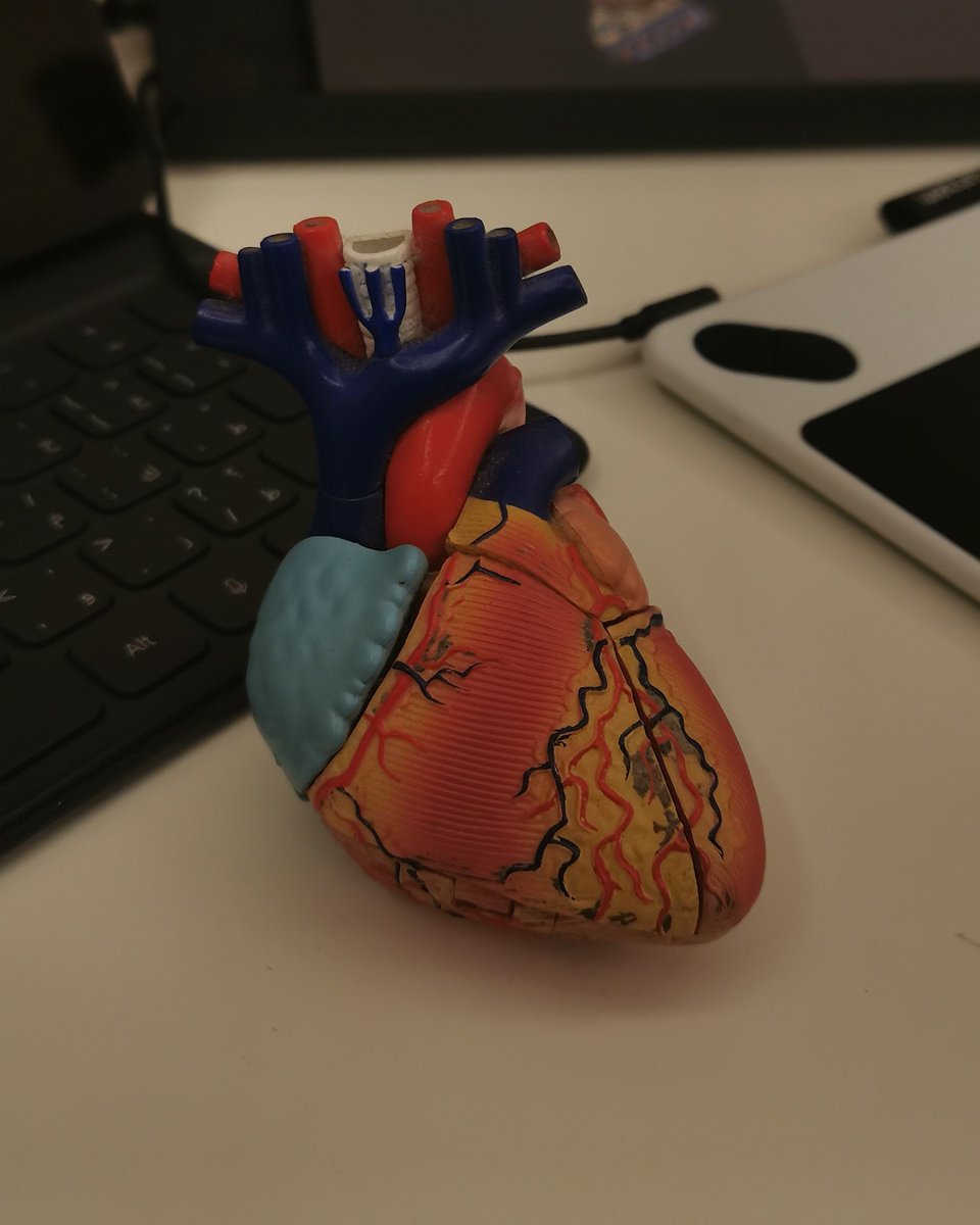 The symbol of life and love 💕✨