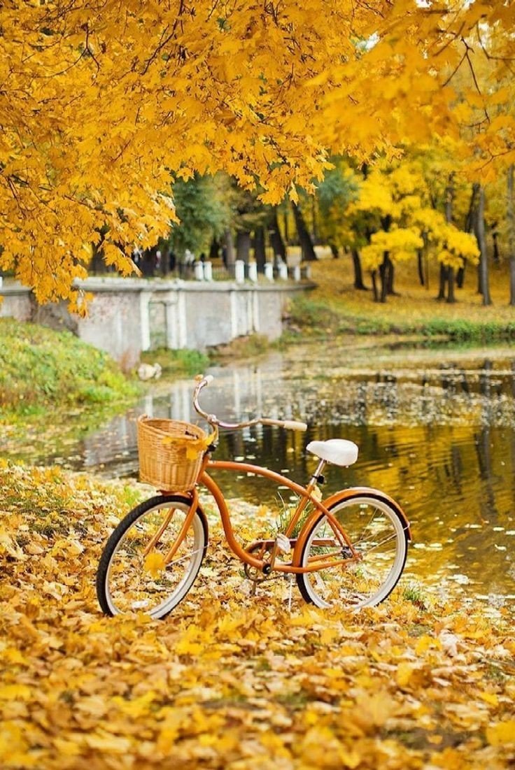 Good Afternoon 🌟✨

"Breathe in the midday peace." 🌾