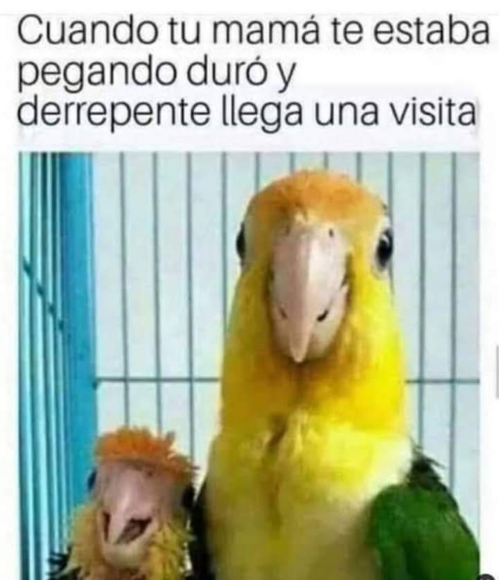 Enséñame de Ciencia tweet media