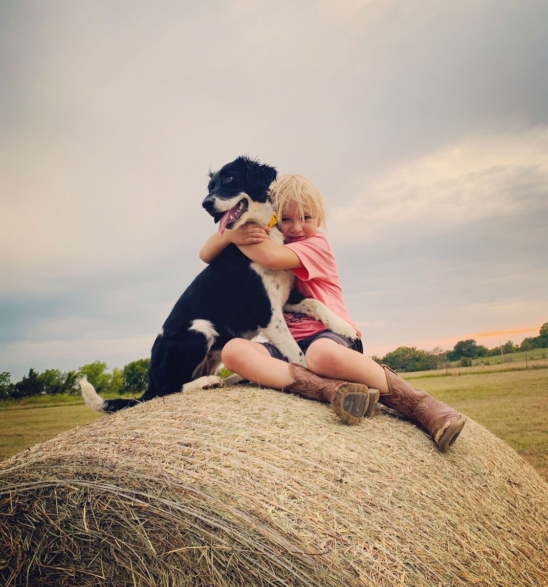 📸 A huge thank you to everyone who submitted photos to our Rural #Oklahoma Photo Contest! 🌾 We received 105 photos showcasing the beauty of rural Oklahoma.

View the entries on our interactive map: bit.ly/ruralokphotos24  🗺️

🏆 The winner will be announced 12-5  #ruralhealth