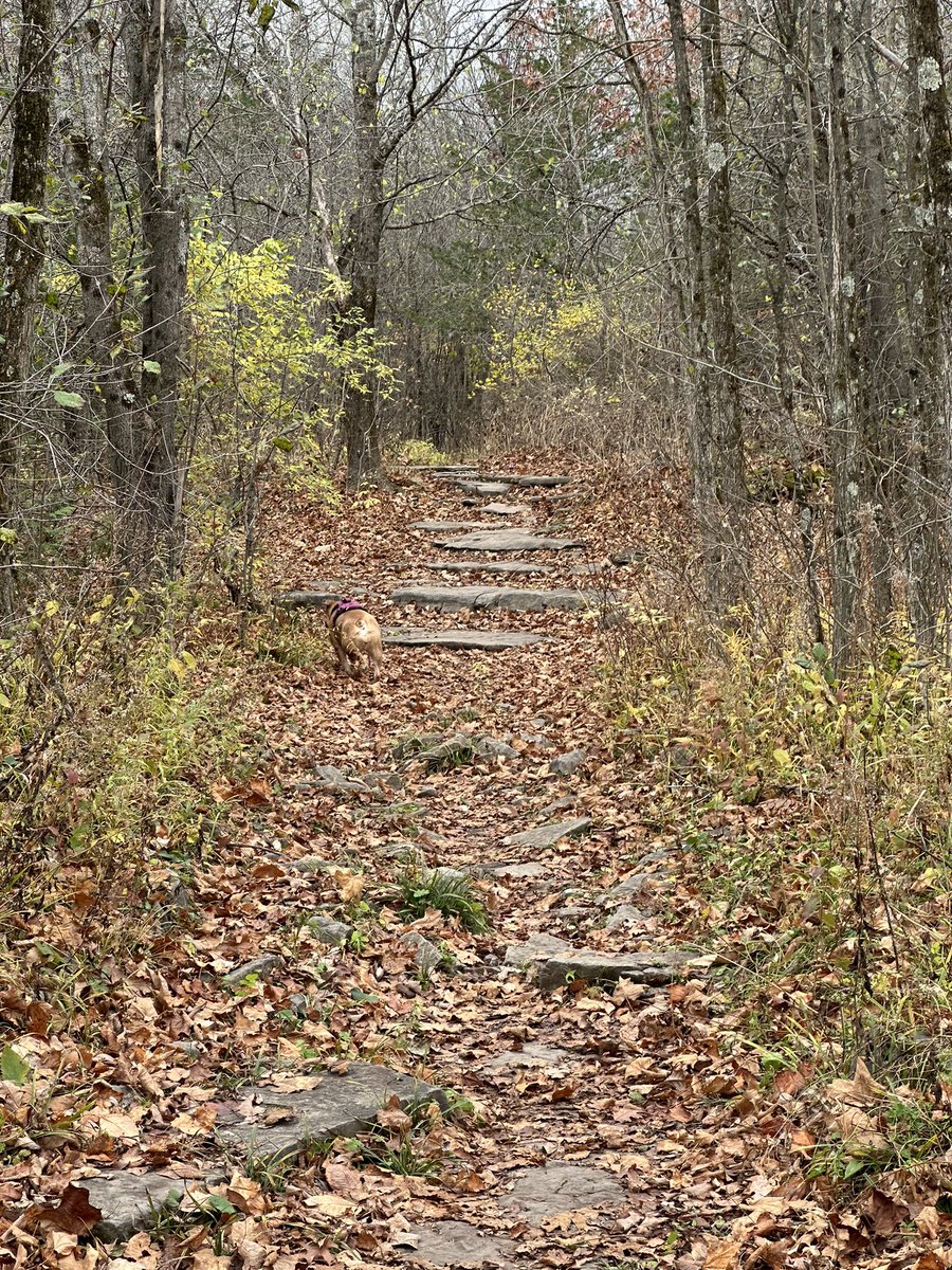 I’m keeping my account so I can see certain posts that are not anywhere else.  But otherwise I’m not here. The blue place is like 1000x better. So long and thanks for all the fish.