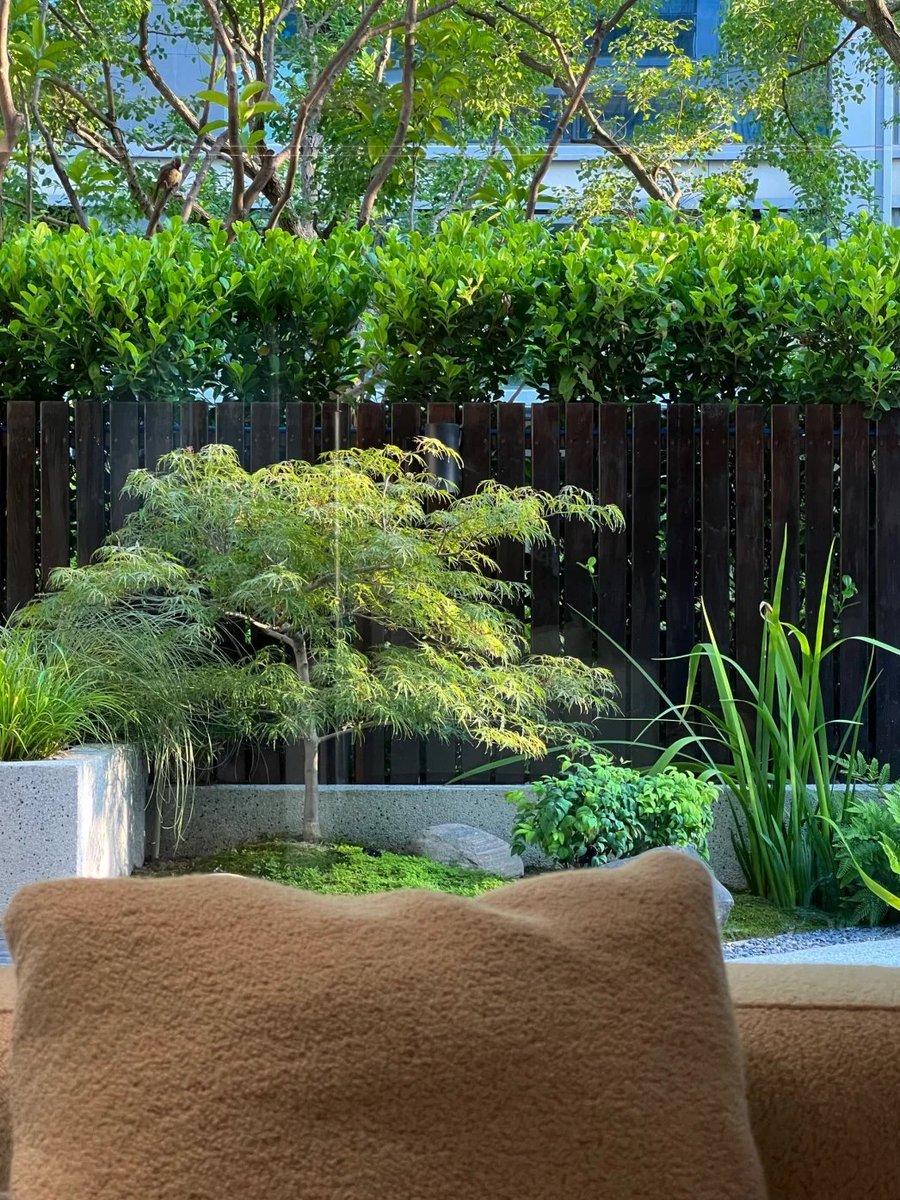 pershing___'s tweet image. Dreams are not empty words, but the fruits that grow in the silent struggle.