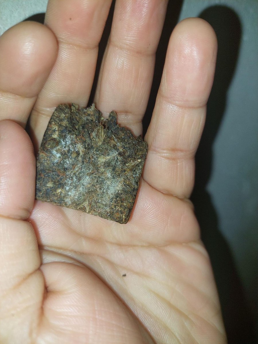 canabisbrasil's tweet photo. Vocês ja pegaram maconha assim? 🤔😂 https://t.co/I9xvMqZtW0