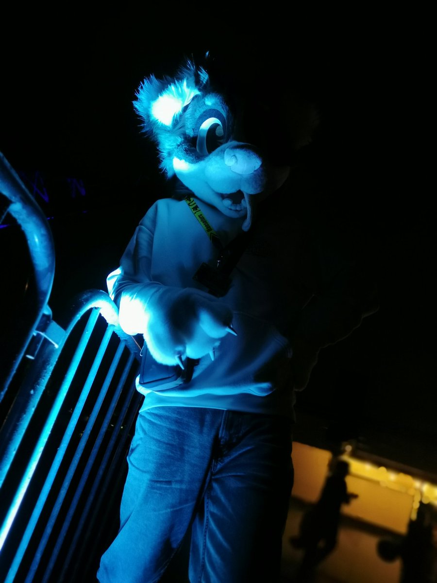*stares at you cutely* 
#FursuitFriday