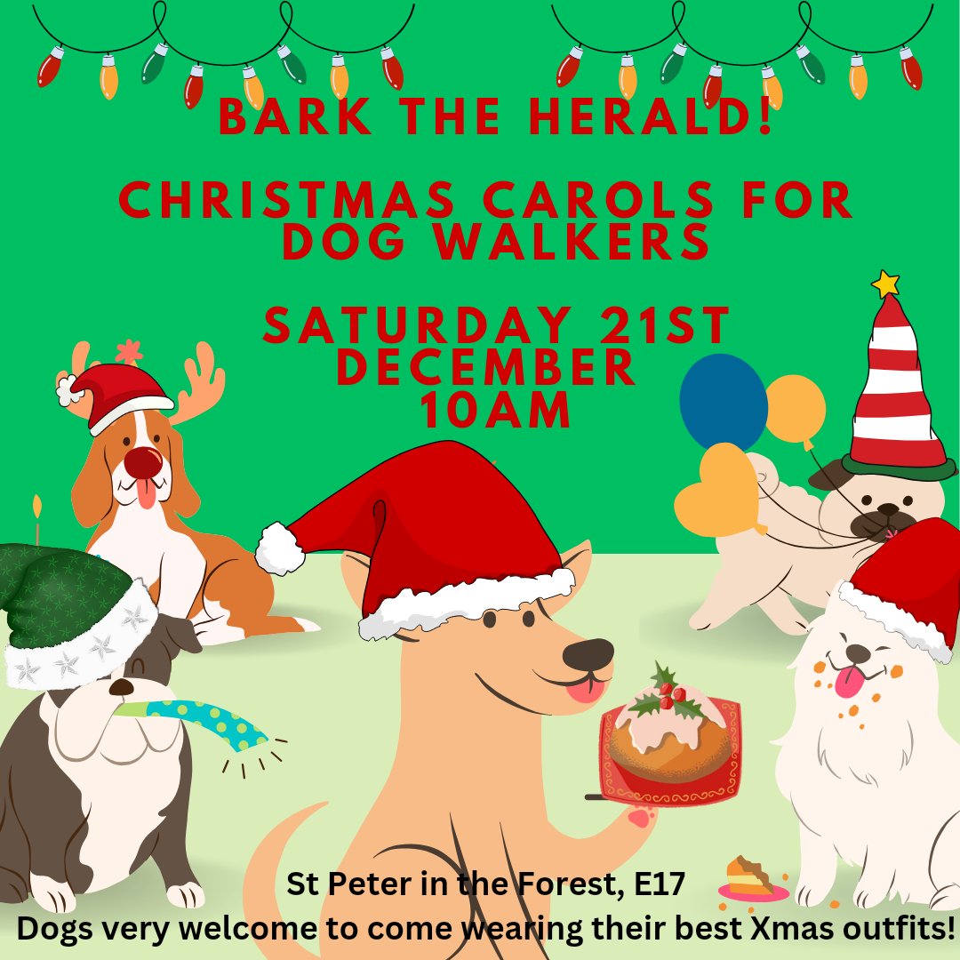 Rachel Summers tweet media