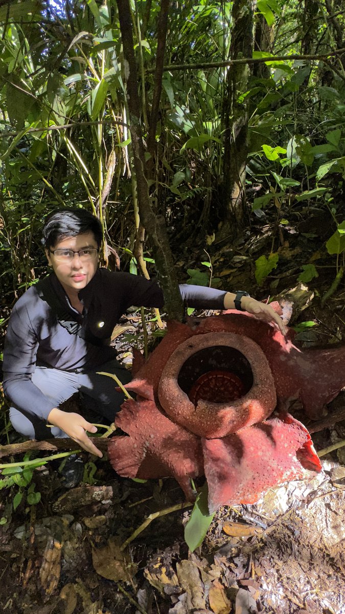 Adriane Tobias (@adrianetobias.bsky.social) tweet media