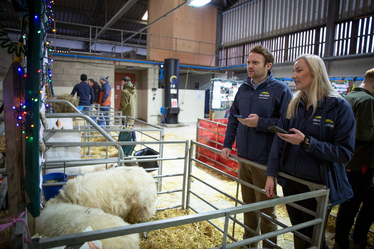 Dunbia Group tweet media