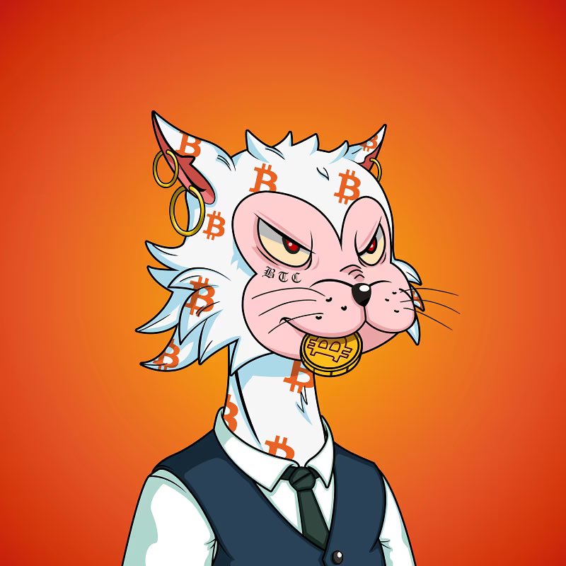 jesh_mac's tweet photo. @HellCatsNFT Let’s go 🔥 https://t.co/MyvBEjxusd