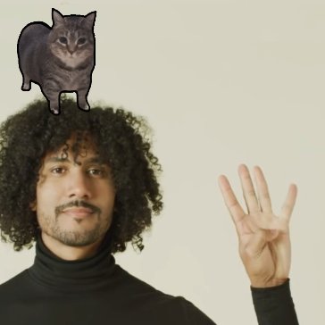 Spinning Cat - fan page tweet media