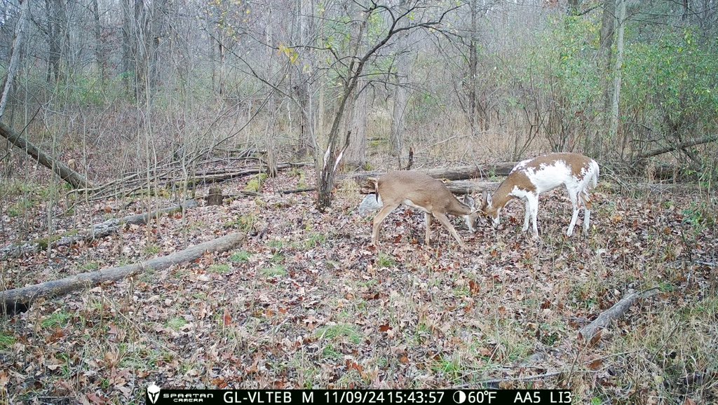 C Christman tweet media